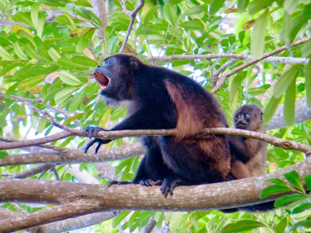 Villa Ometepe Мерида Экстерьер фото